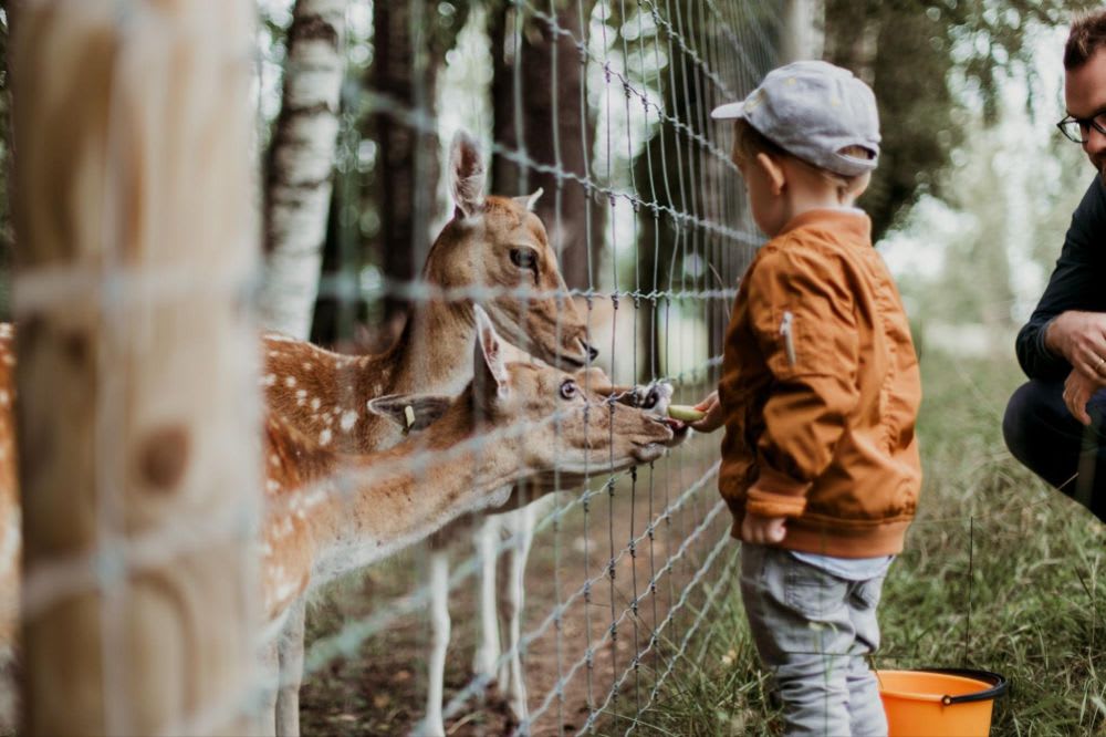 Boy in orange hoodie standing beside brown giraffe during daytime