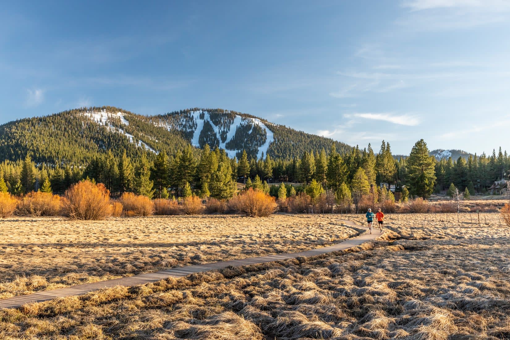 Hiking and Trail Running