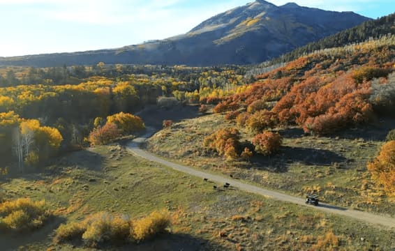 Fall in Love with 175-acres of Endless Outdoor Recreation