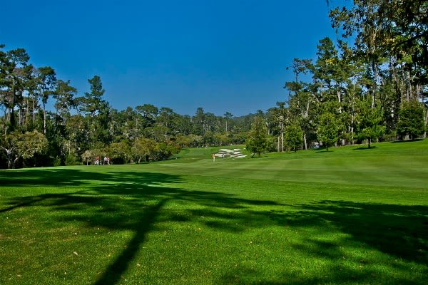 Golf course fairway with mature trees and a distant sand bunker.