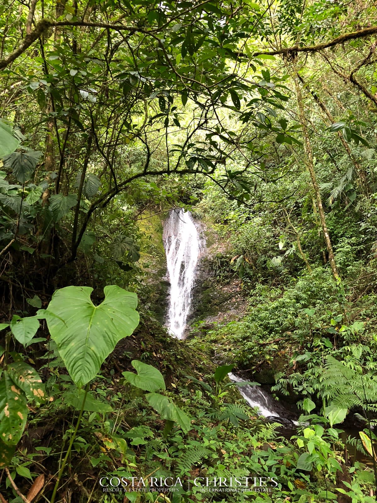 Magnificent Estate with River and Waterfall - Tierra Serena