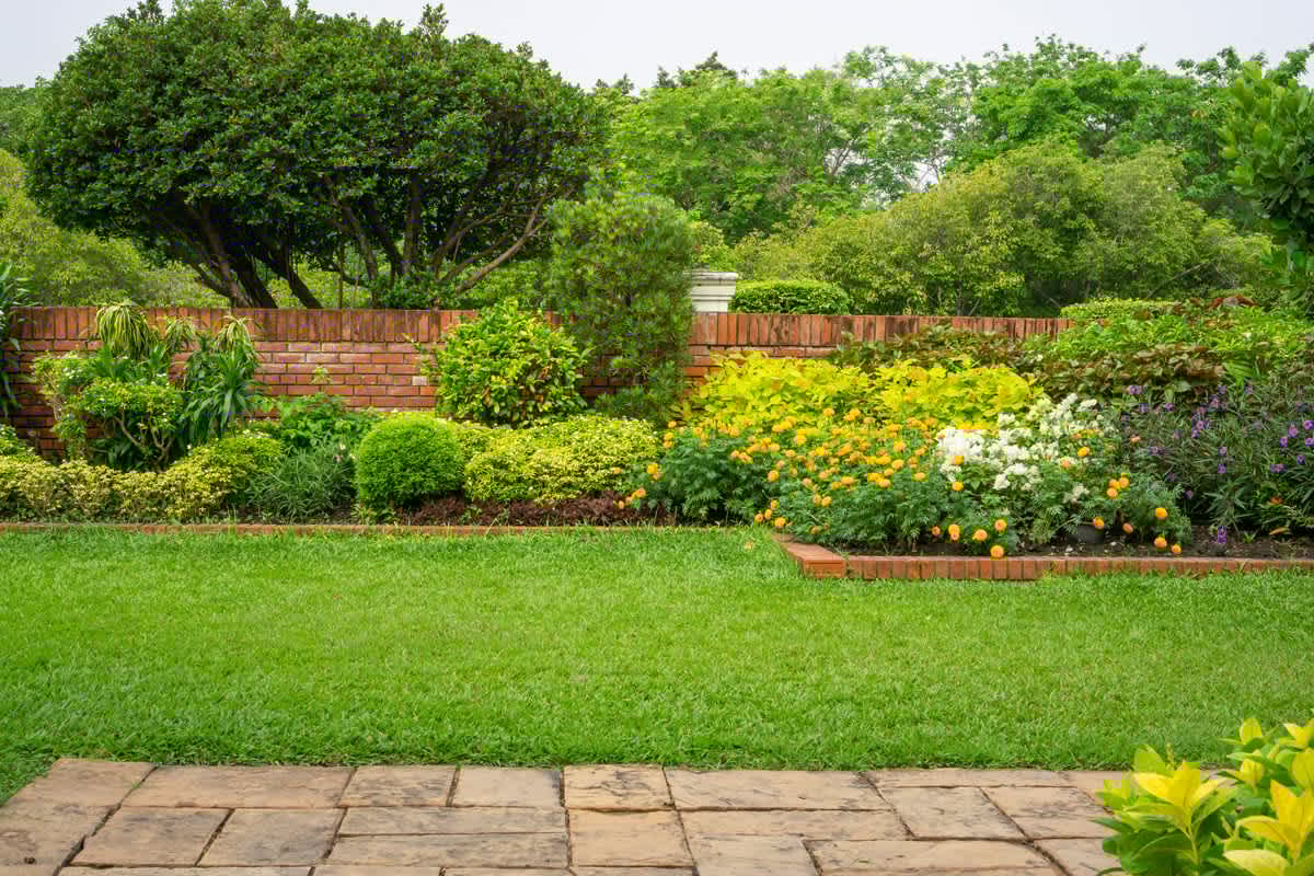 Planting Green Ideas