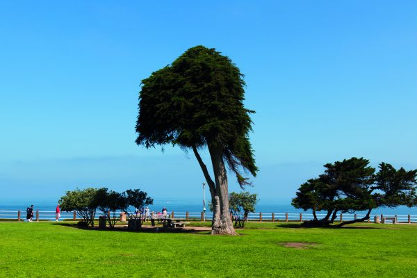 Scripps Park & Scripps Institution of Oceanography