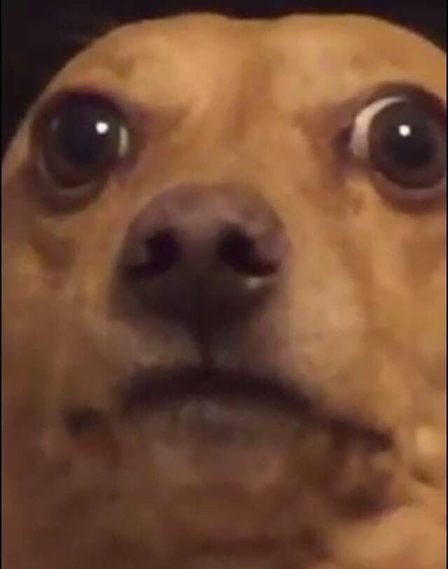 646d8bf5a4b2dc031d9e7d04124aafdd646d8bf5a4b2dc031d9e7d04124aafdd