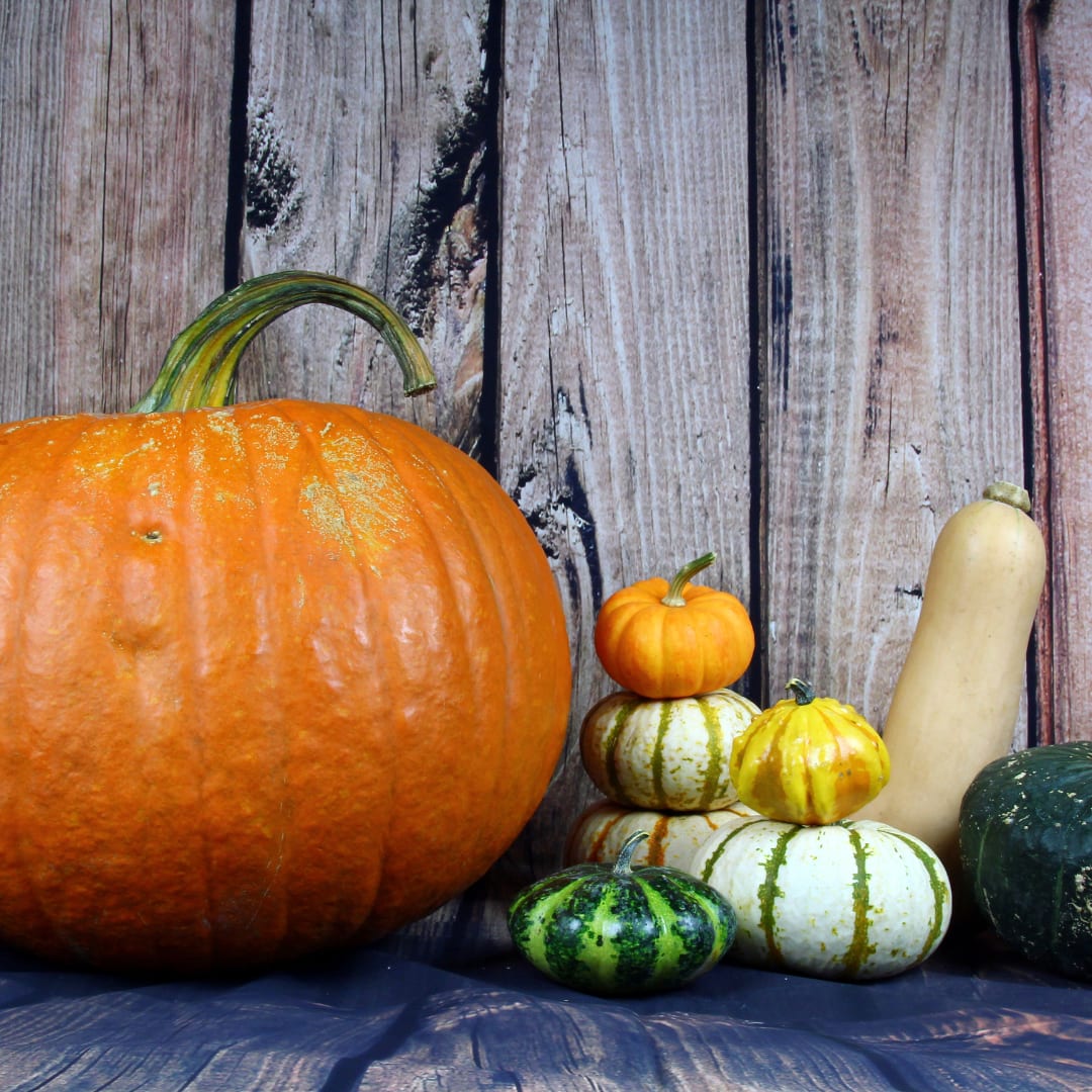 Halloween in the Cold! Crested Butte Real Estate Agent