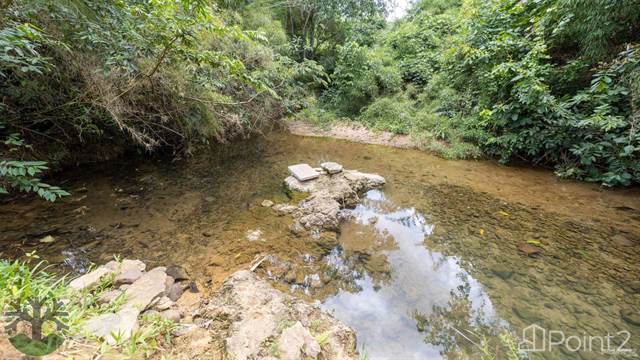 Over 8400 Feet of Stunning River Frontage on the Historic Landmark Sibun River