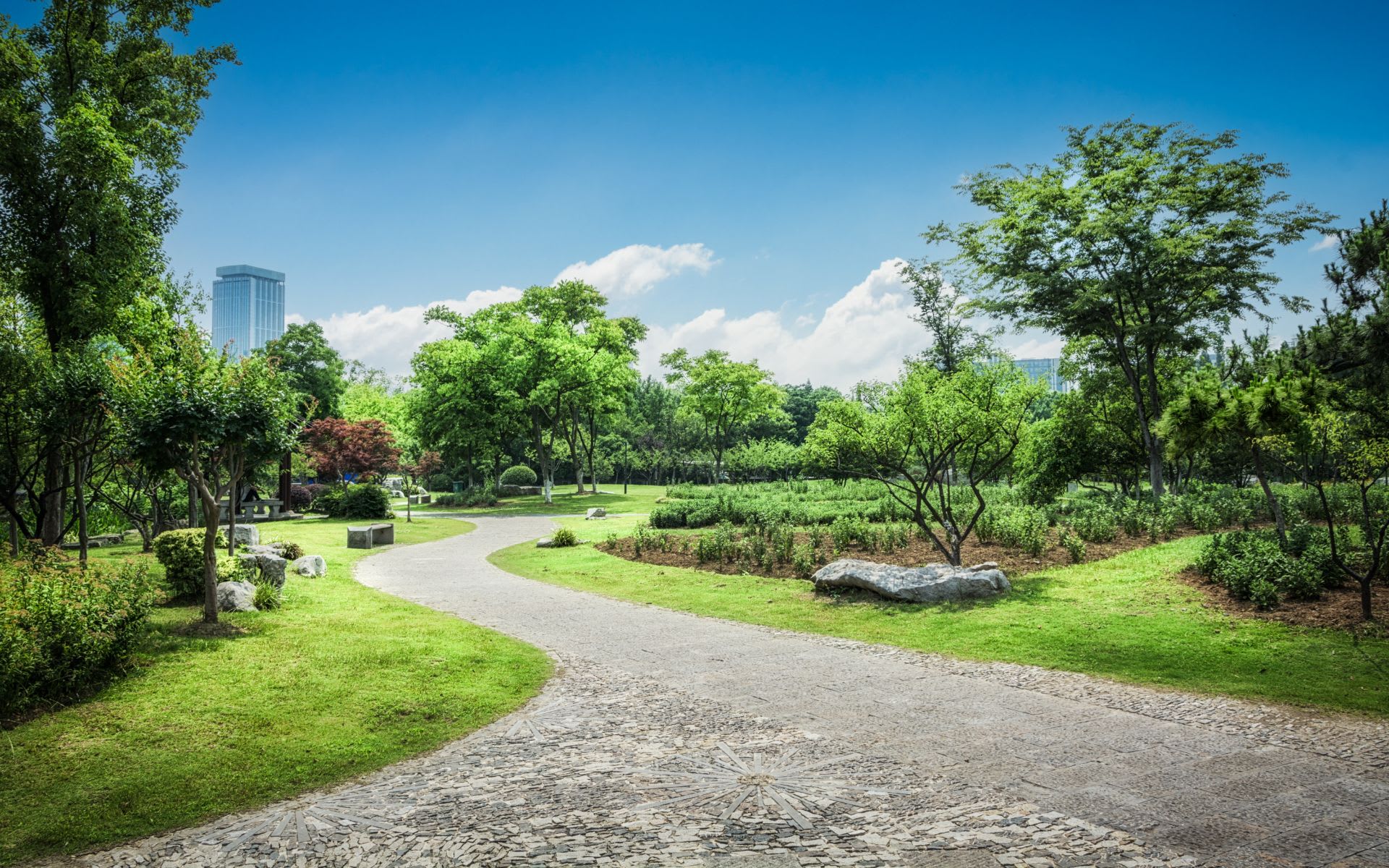 Saline Real Estate & Homes for Sale