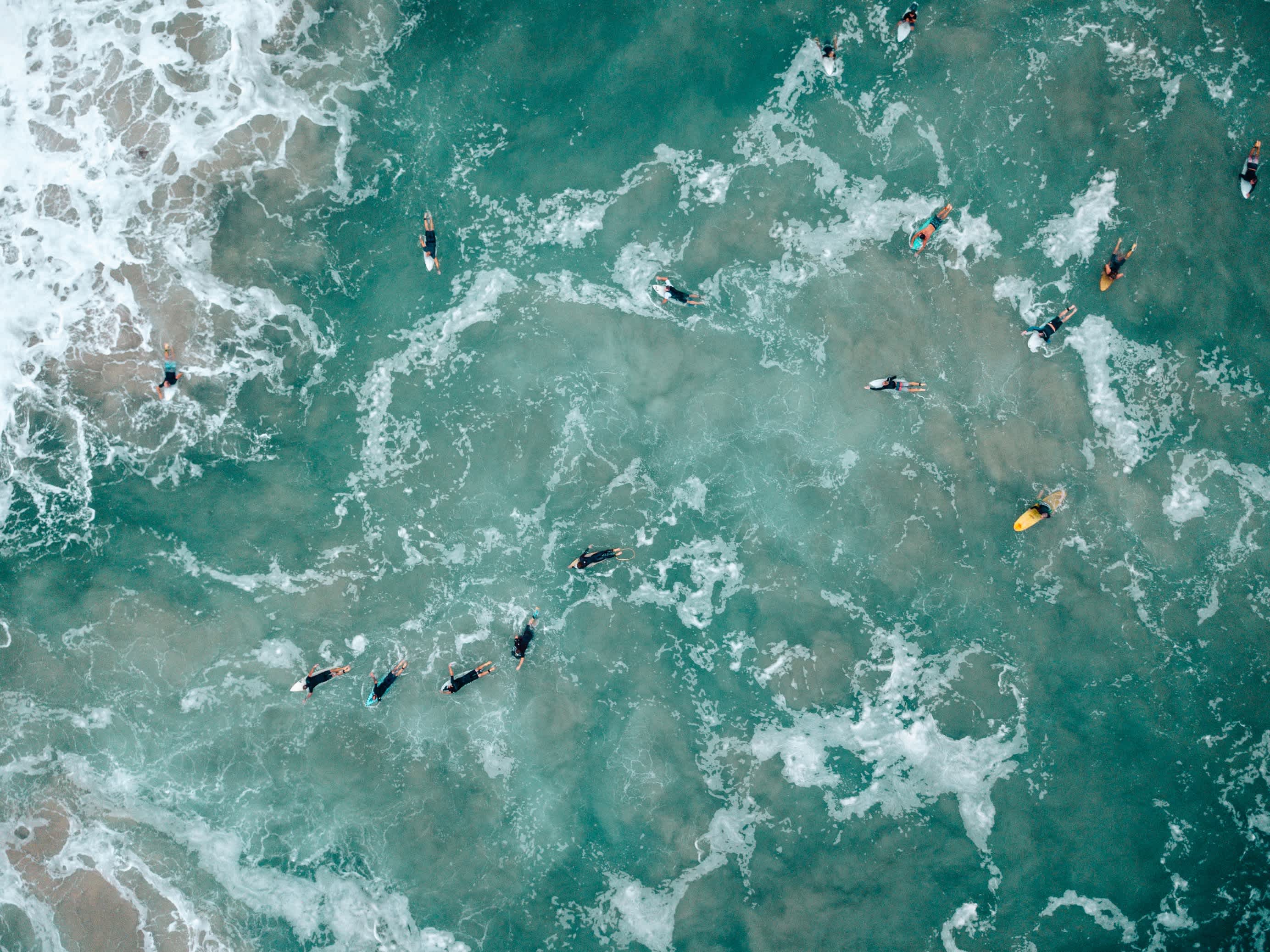 North Carolina's Surf Scene Nest Realty Wilmington