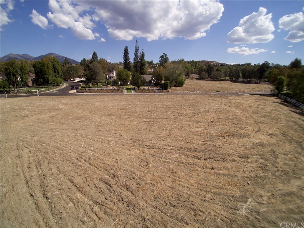 31572 TRIGO Trail