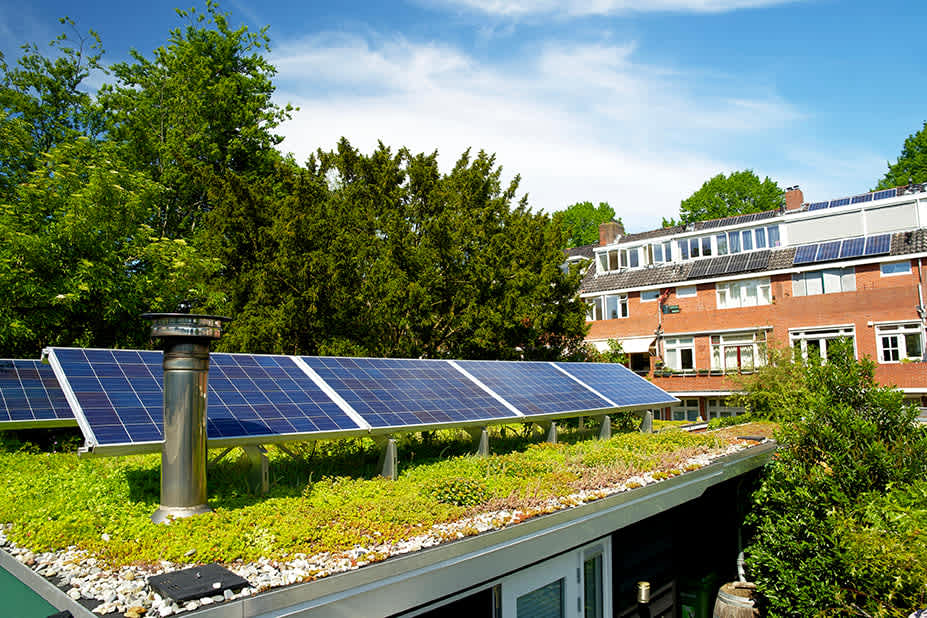 Solar panels on a sedum green rooftop garden on behalf of climate adaptation