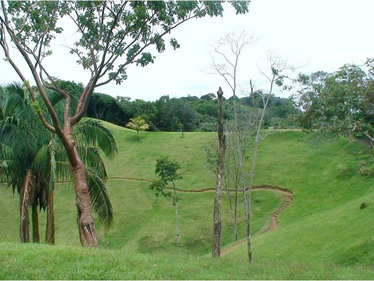 Manuel Antonio Vistas