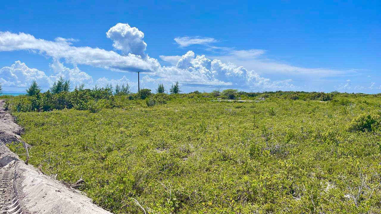 150 Anegada 0.517 Acres Luxury Properties BVI Tortola Real Estate