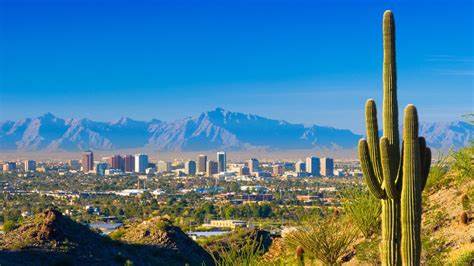 Phoenix Real Estate Market Update Forecast First Week February 2024