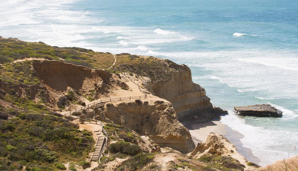 Explore Torrey Pines State Natural Reserve