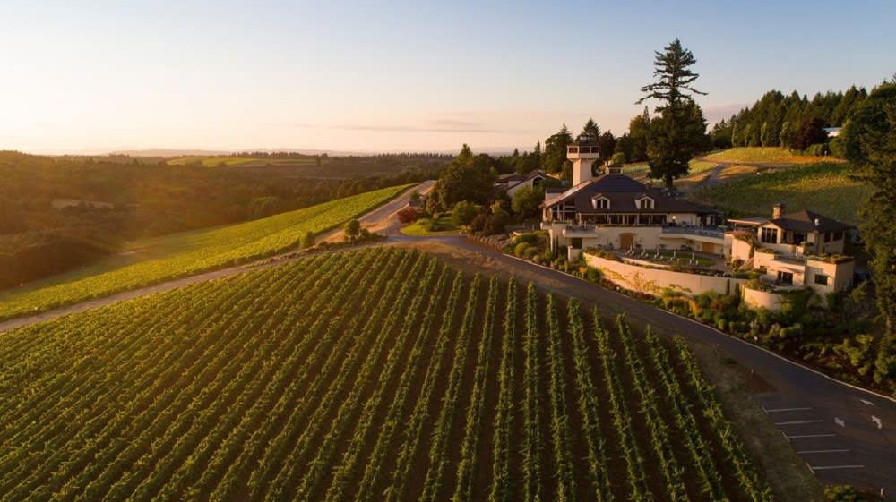 Image courtesy of Willamette Valley Vineyards