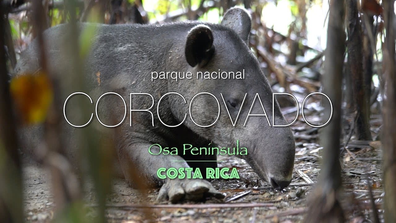 Corcavado