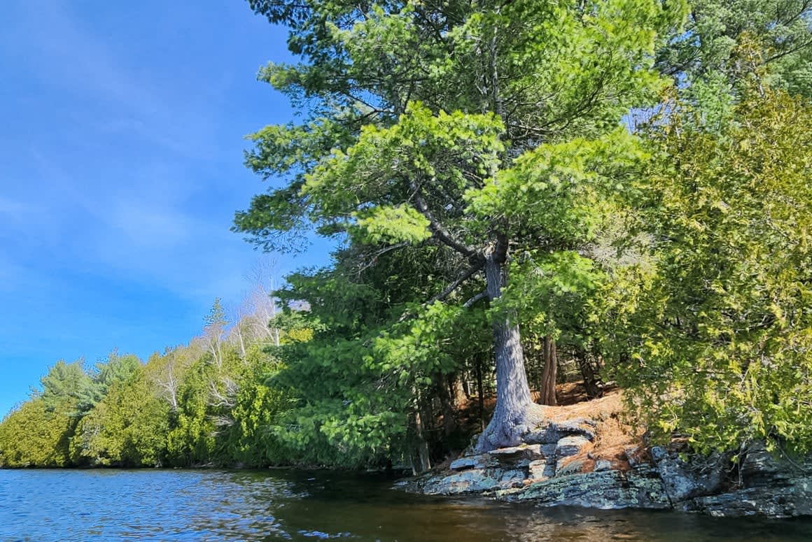 Fern Glen Road Round Lake 