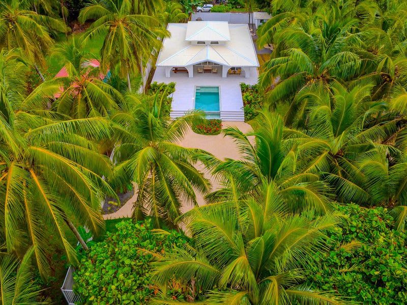 Casa Cinco Palmas, Oceanfront Paradise