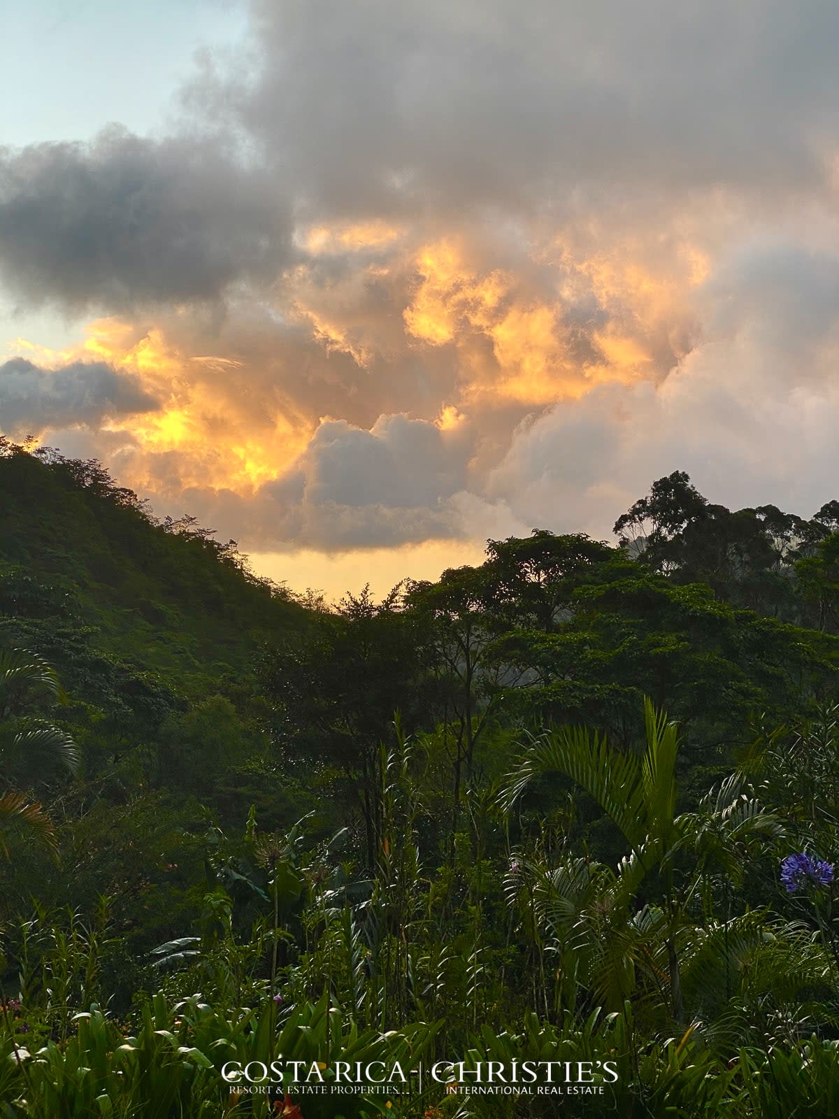 Magnificent Coffee Estate with River and Waterfall - Tierra Serena