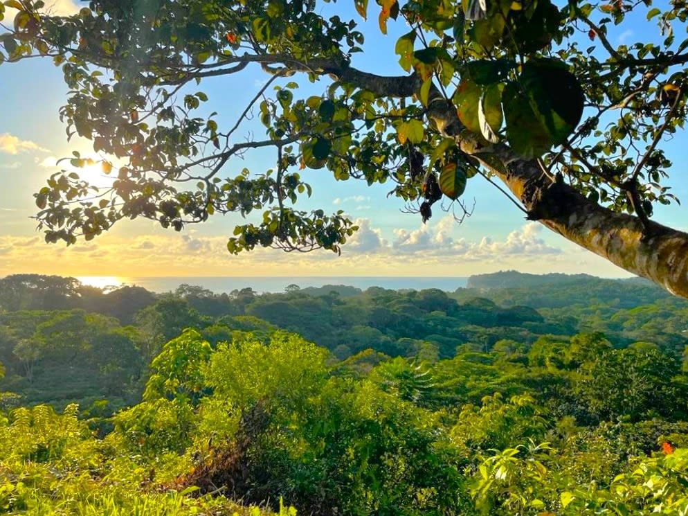 Stunning Sunset Ocean View. FInca Maranon. With Legal Water! Ojochal 