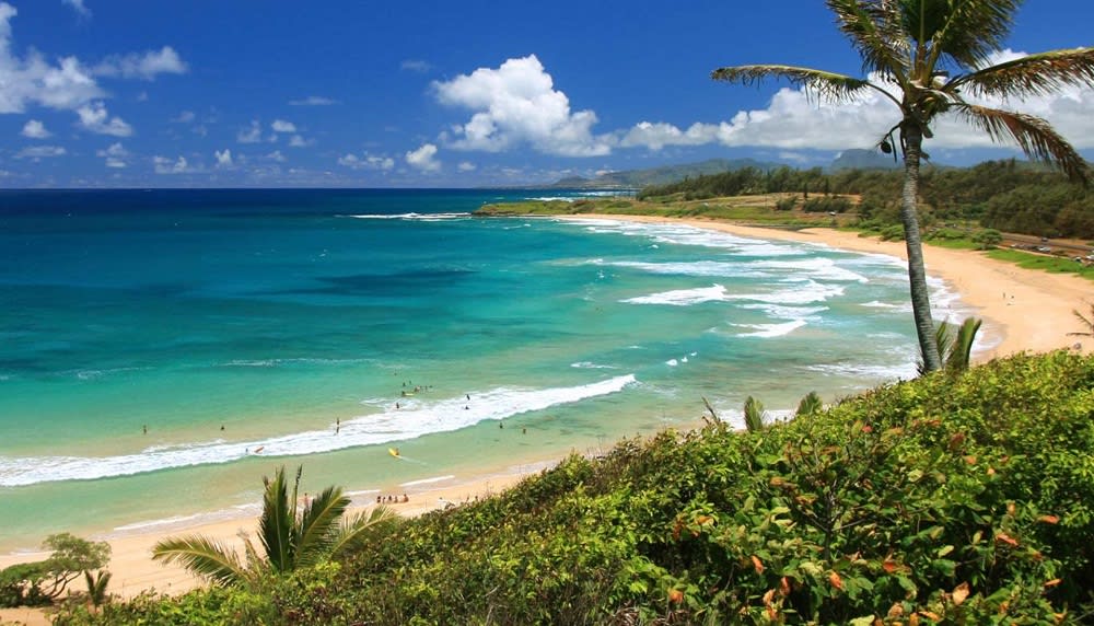 A Complete Guide To Kauai Beaches Kauai Real Estate Agent 