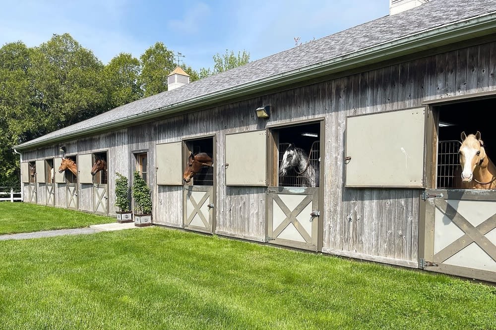 exterior view of Silver Tides stables, with horses peeking their heads out of each window