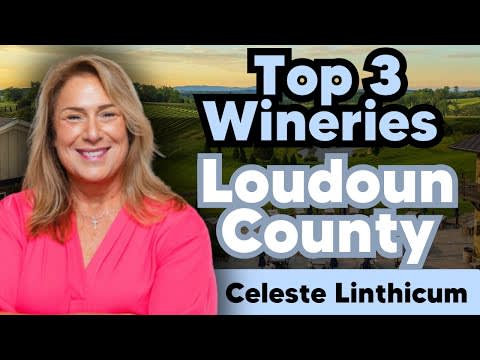 Top 3 Wineries in Loudoun County!