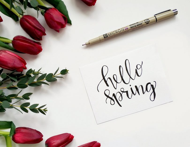 Spring Landscaping Tips for Your Sugarmill Woods Home