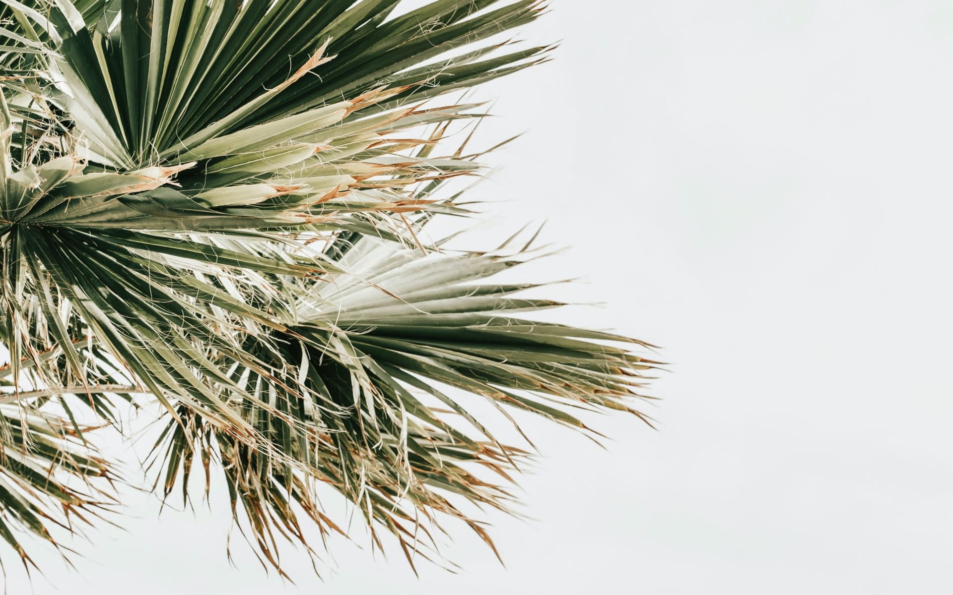 Eliad Cohen Real Estate Miami, FL Real Estate Agent