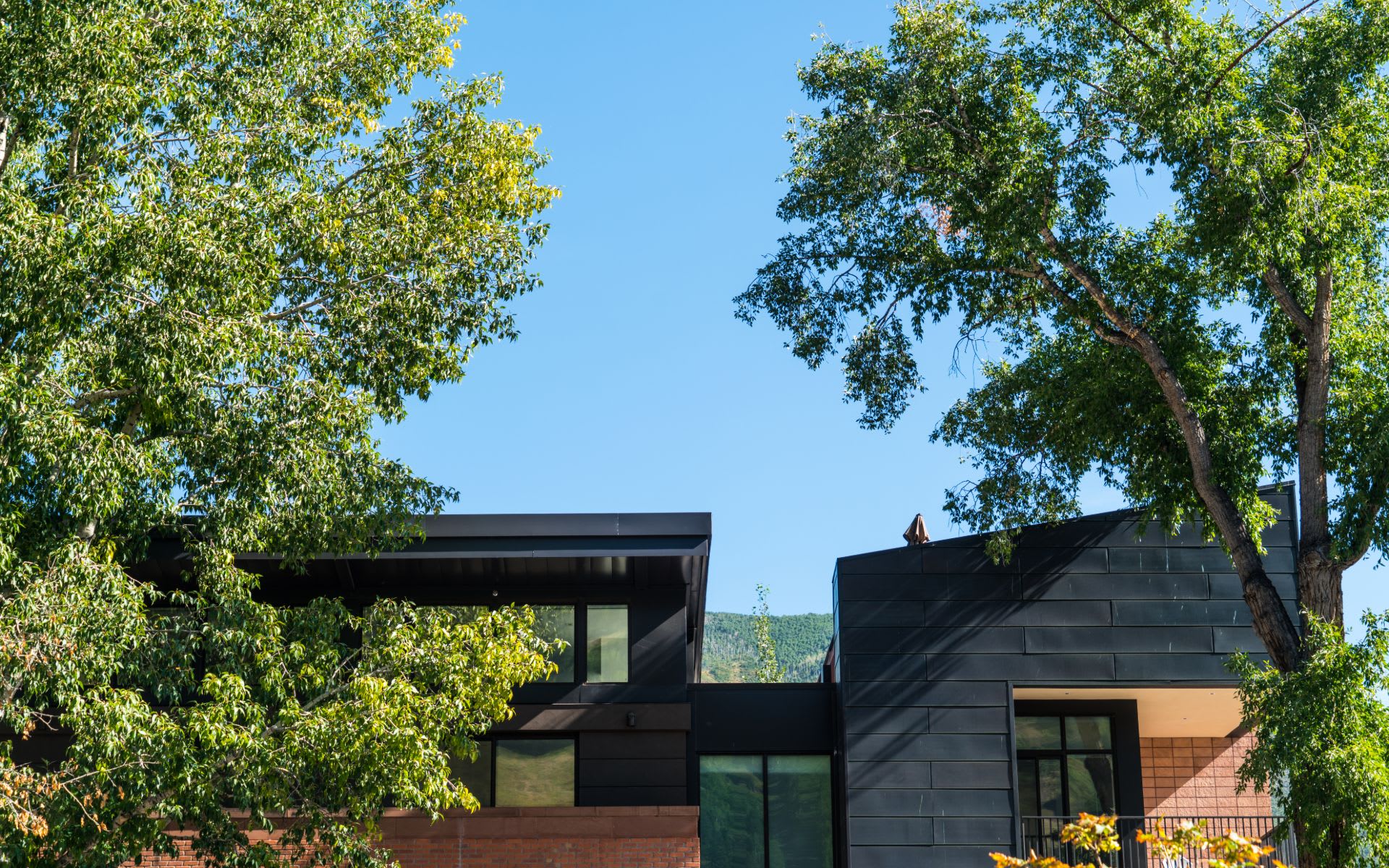 Heidi Nevin Mercer Island Real Estate Expert