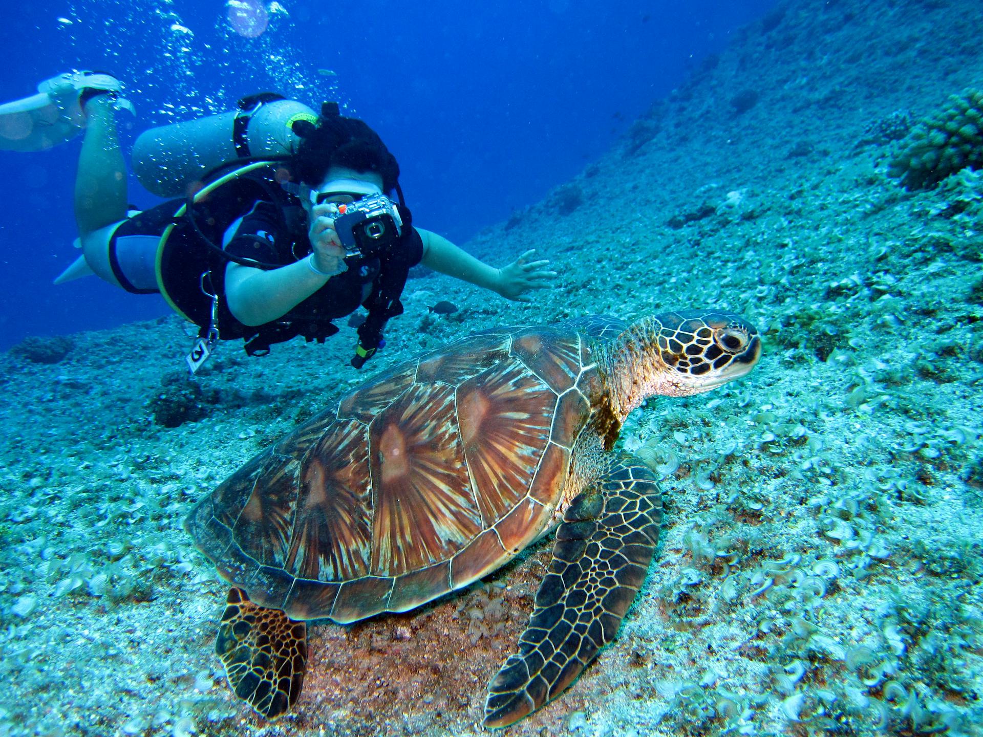 Nature Guide to Maui, HI 