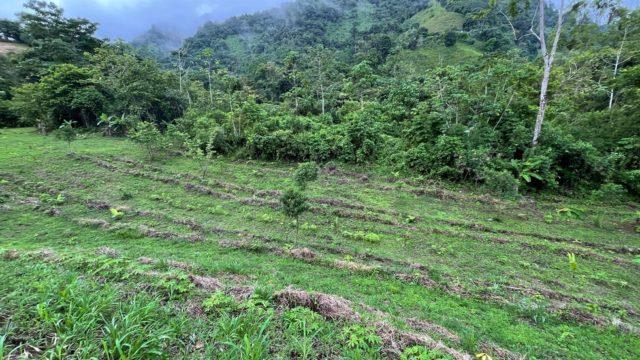 Riverfront Ranch Above Uvita With Waterfalls, and Ocean Views