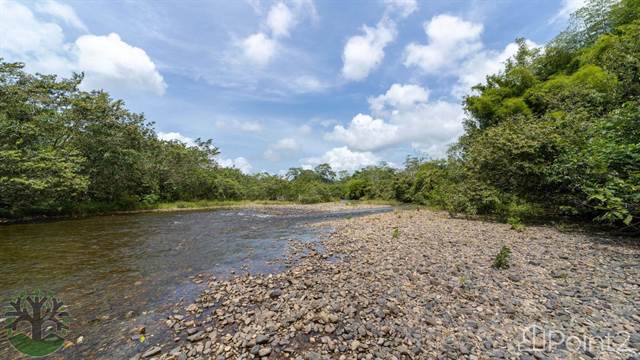 Over 8400 Feet of Stunning River Frontage on the Historic Landmark Sibun River