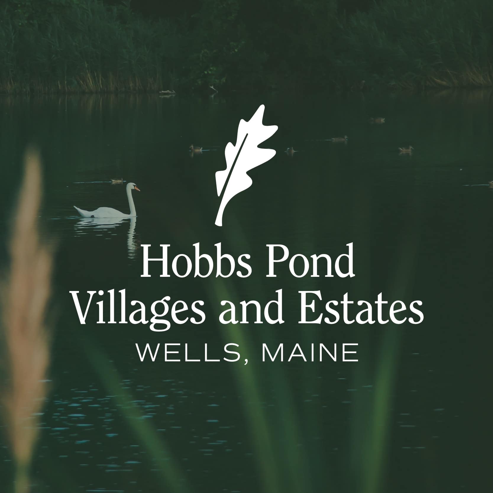 Hobbs Pond Villages and Estates