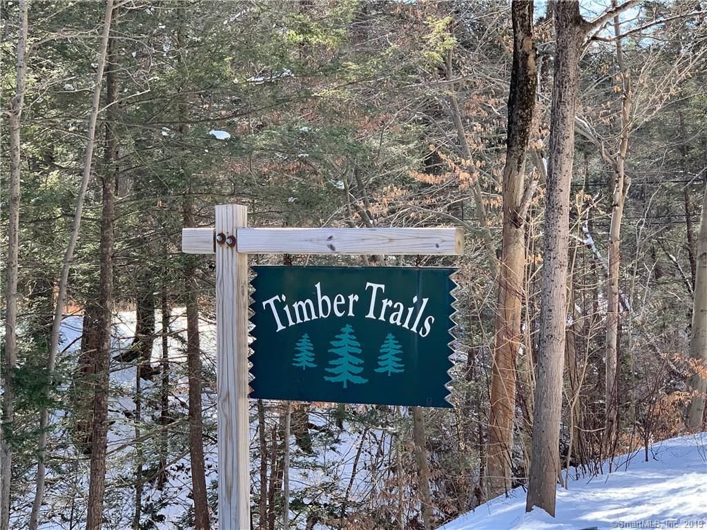 Timber Trails Through Ephemera