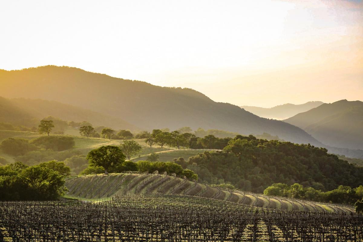 Carmel Valley