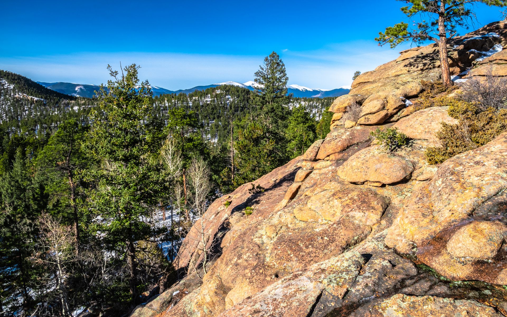 Lionshead, CO Real Estate & Homes For Sale Viola Realty