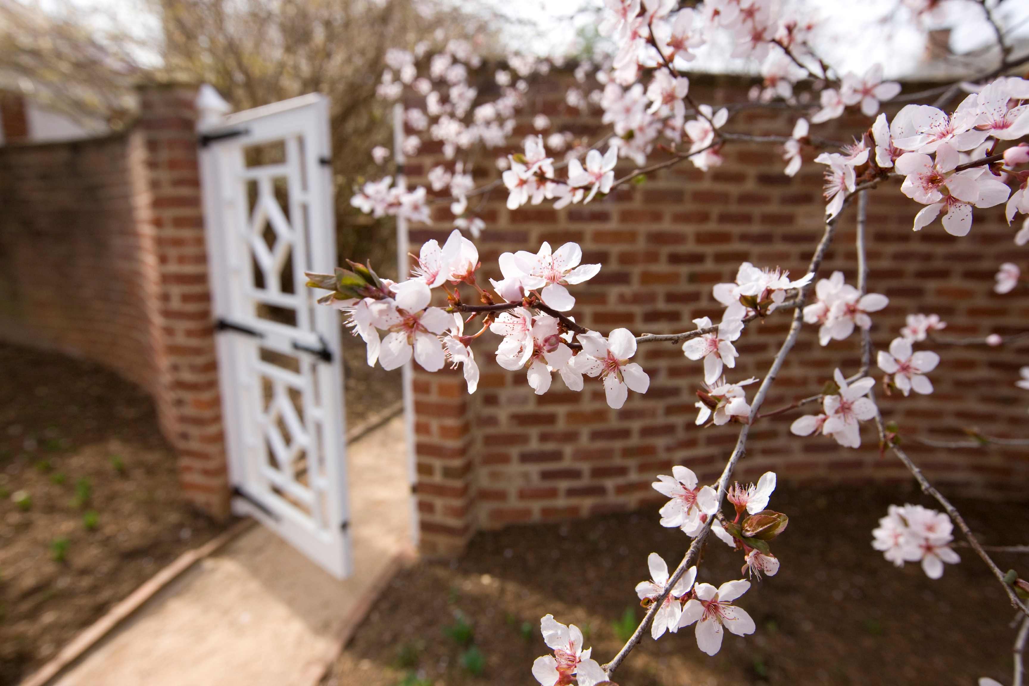 Perfect Day - UVA Gardens