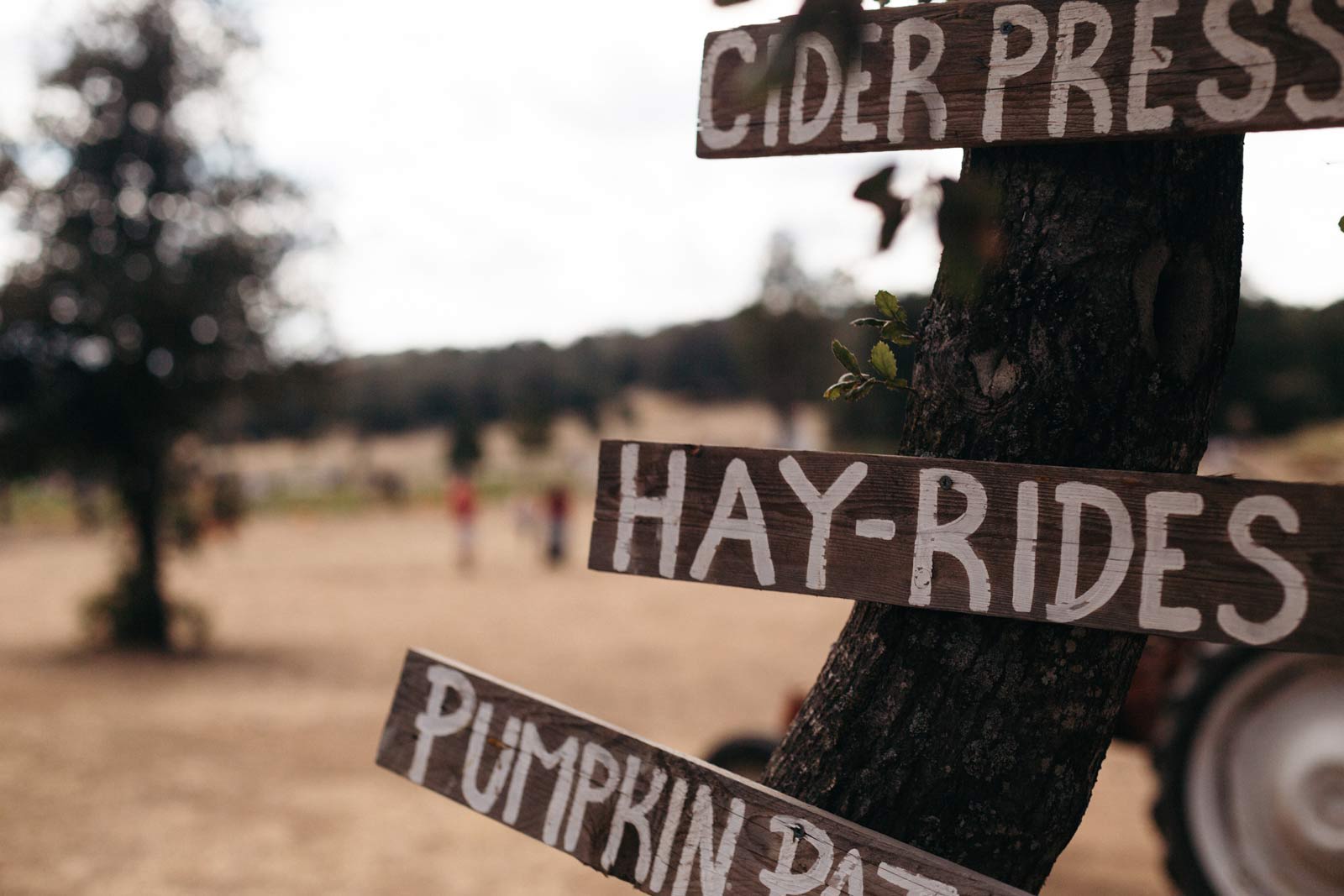 Hay Rides, Fall Festivals, Pumpkin Patch, Denver 2022