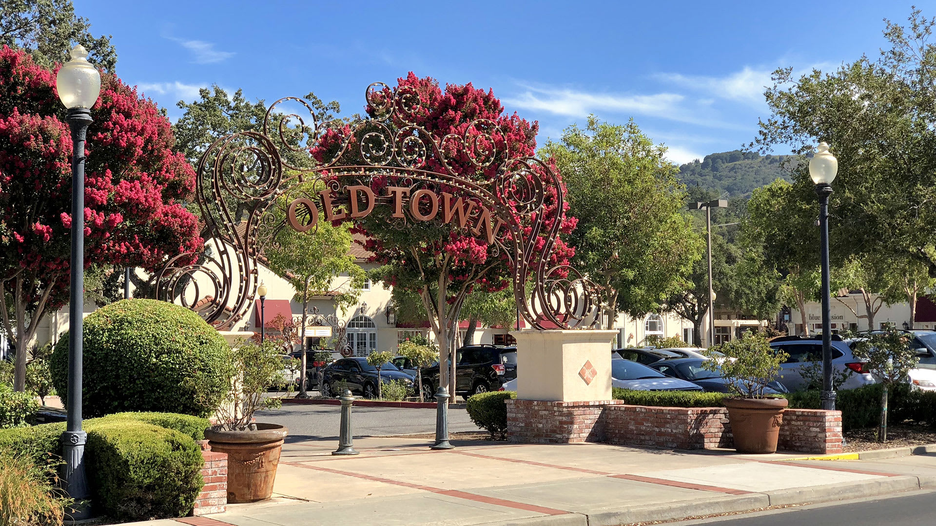 Los Gatos  Neighborhood Guide