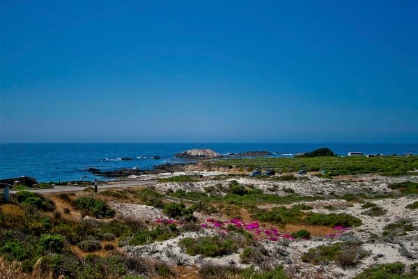 Coastal land with low scrub, sandy terrain, and ocean beyond.