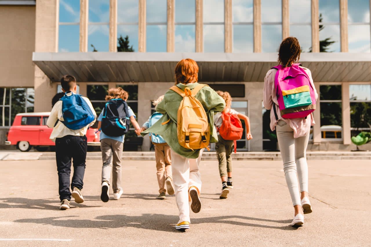Local Schools image