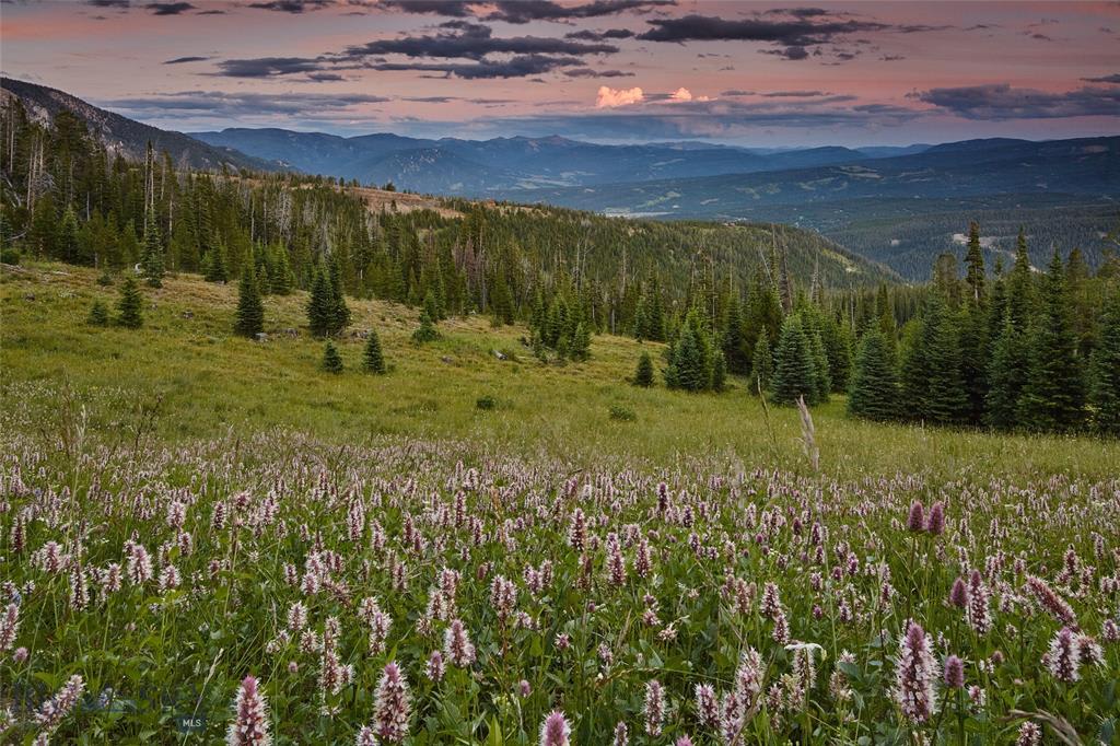 For Sale Big Sky Montana Luxury Home