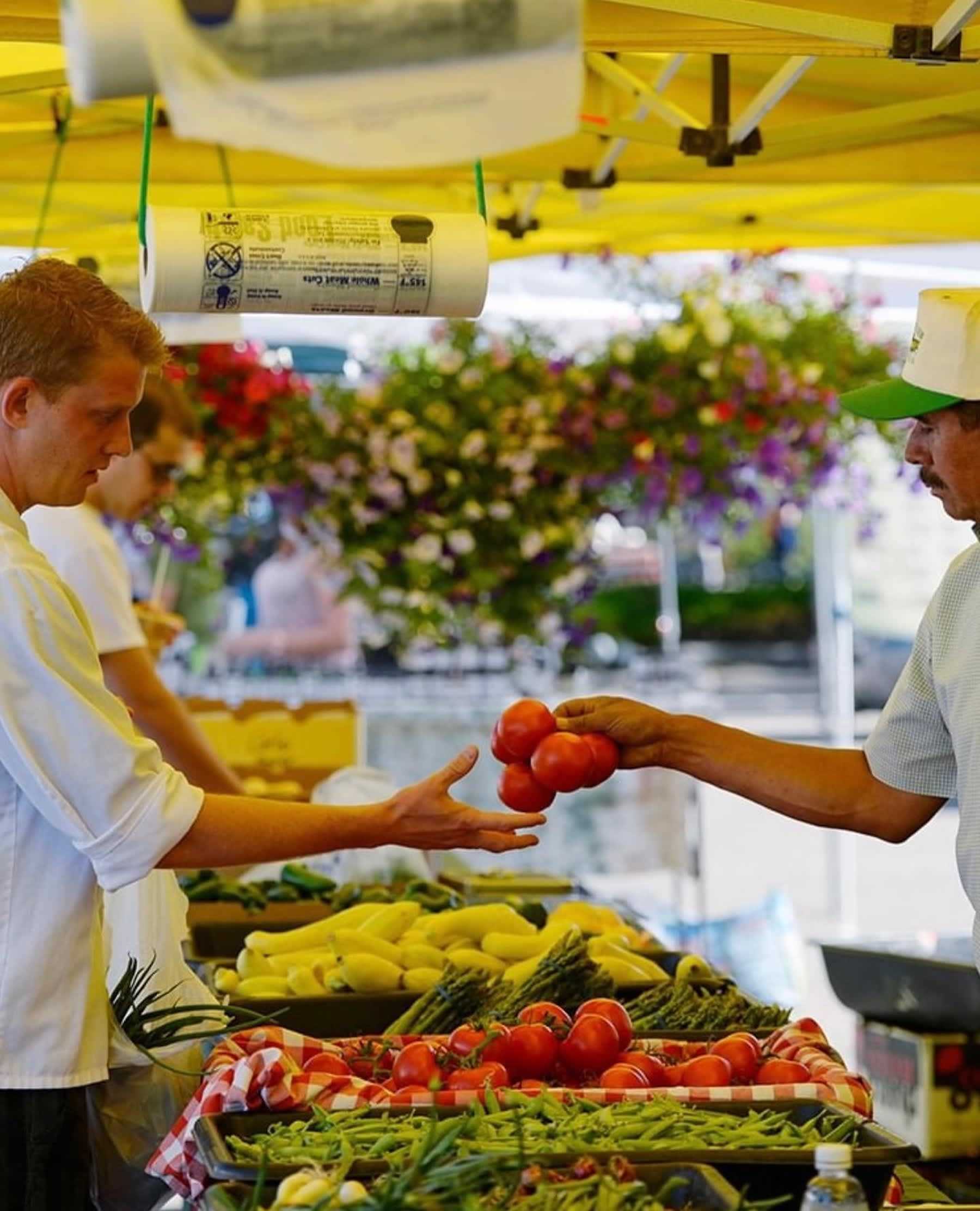 Denver Farmers Markets - University Hills Guide