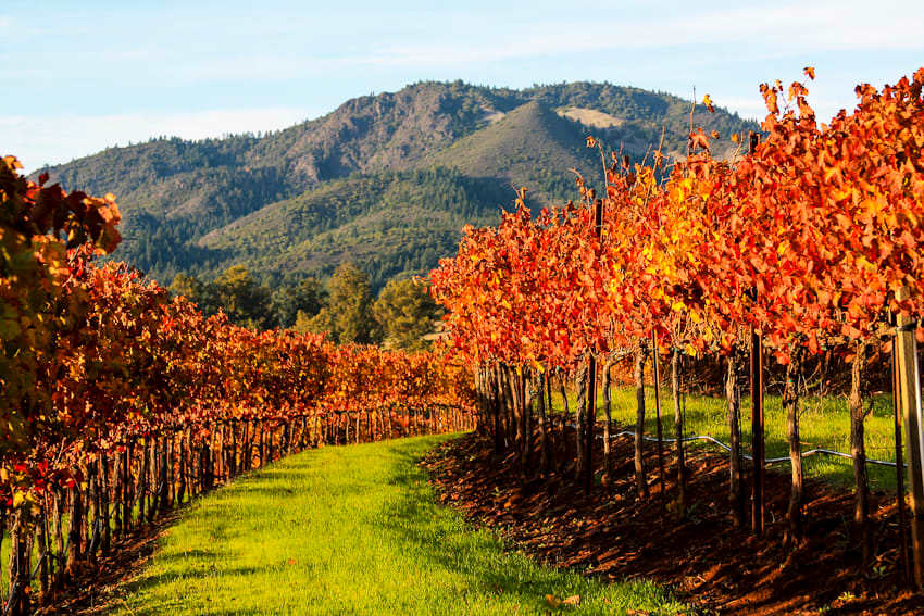 Marin Real Estate Market Report November 2022