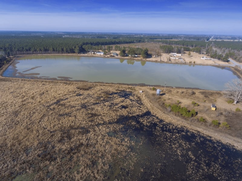 Duck Lease NC Duck Hunting Leases Blog Legacy Farms and Ranches