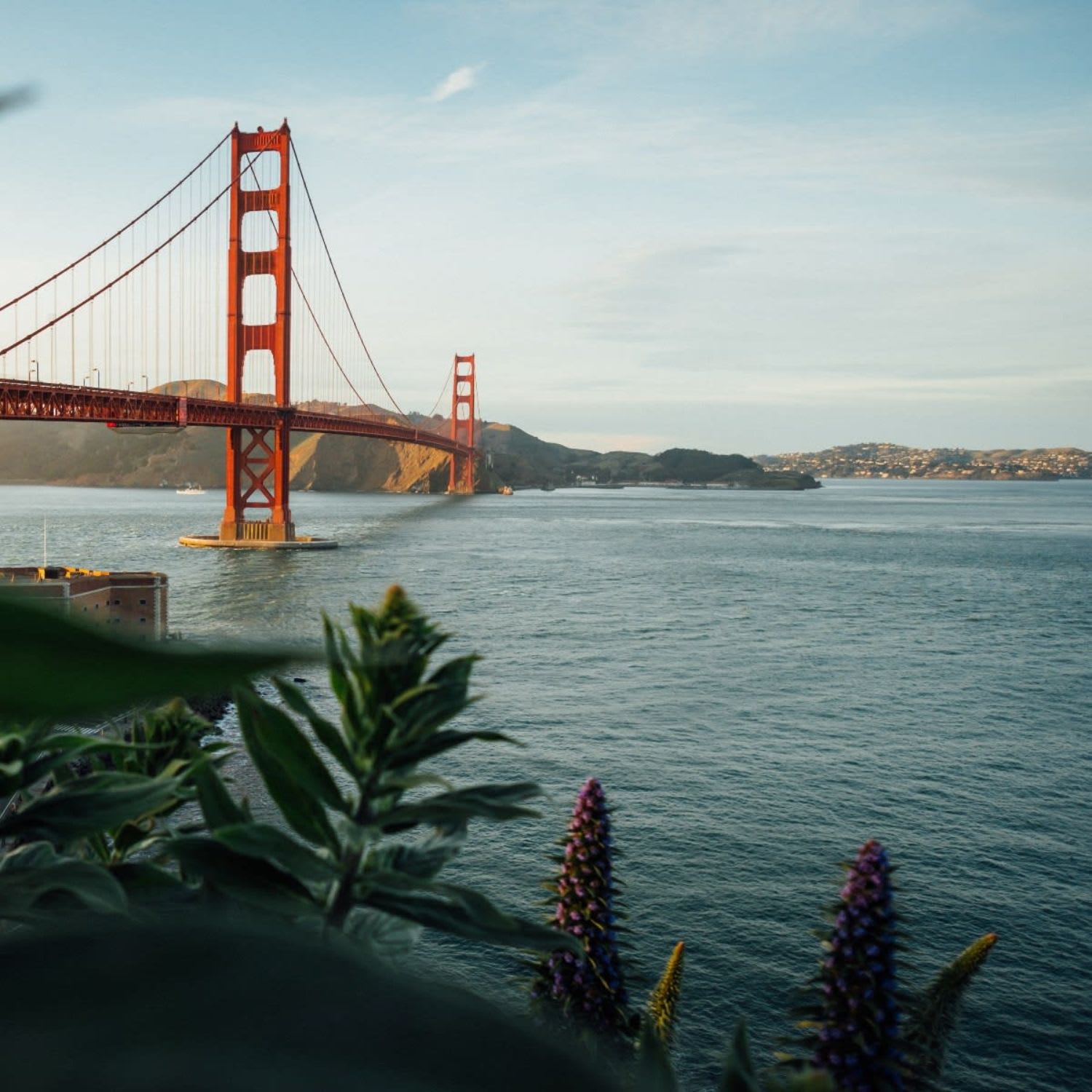 Philip Watson California Real Estate Agent