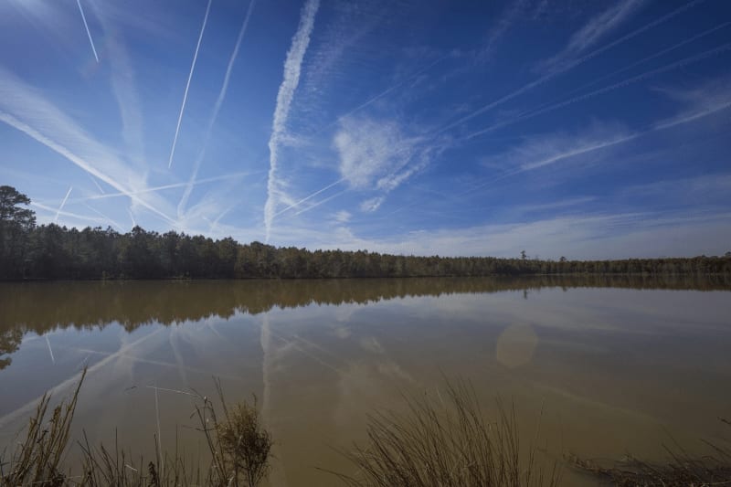 Duck Lease NC Duck Hunting Leases Blog Legacy Farms and Ranches