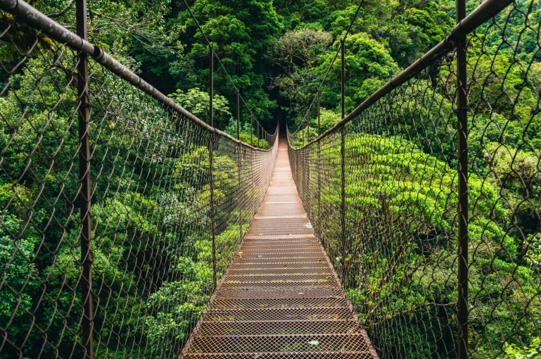 A wooden suspension bridge with rope railings sways over a lush green jungle. The atmosphere is adventurous and mysterious.