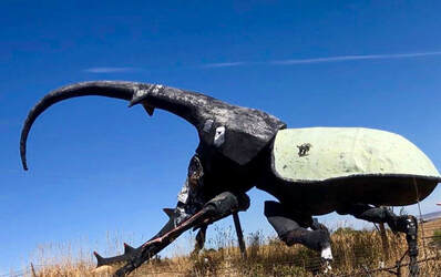 Discover the May Natural History Museum: A Journey into Earth's Past 